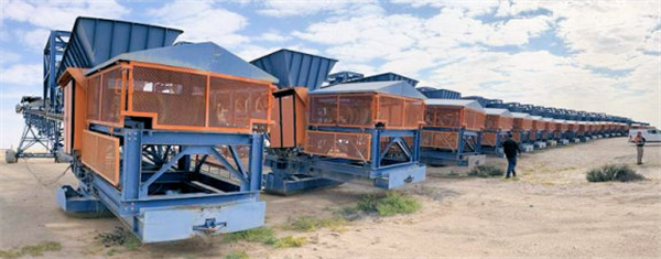 34 Units - Senet 1350mm (54") W X 38m (125') L Grasshopper Conveyors)